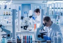 Photo of Russia Unveils World’s First Anti-Aging Vaccine Targeting Cellular RAGE Receptor