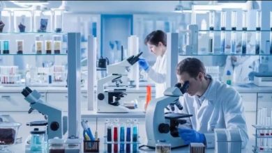 Photo of Russia Unveils World’s First Anti-Aging Vaccine Targeting Cellular RAGE Receptor
