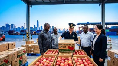 Photo of China Opens Its Market to Africa in Landmark Zero-Tariff Deal as First Shipment Arrives at Shenzhen Port