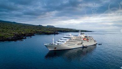 Photo of Global Health Authorities Monitor Rare Hantavirus Cluster Linked to Atlantic Cruise