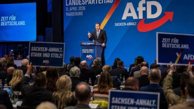 Photo of AfD Surges to Record 42% in Saxony-Anhalt Polls, Eyeing Historic Absolute Majority