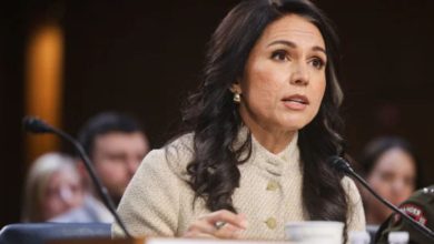 Photo of Inside the Fall of Tulsi Gabbard: How the Iran War Ended America’s Top Spy Chief