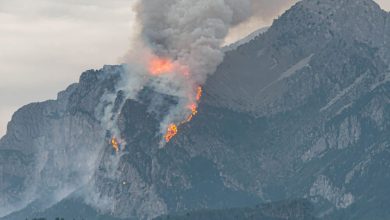 Photo of Europe’s Wildfire Season Nears Record as Economic Toll Deepens